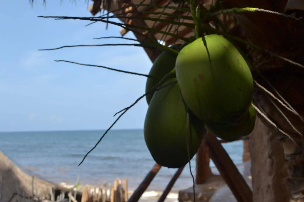 La Posada del Sol Boutique Hotel Tulum