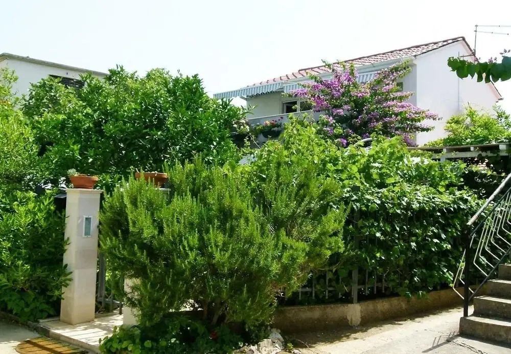 House Zeljko
