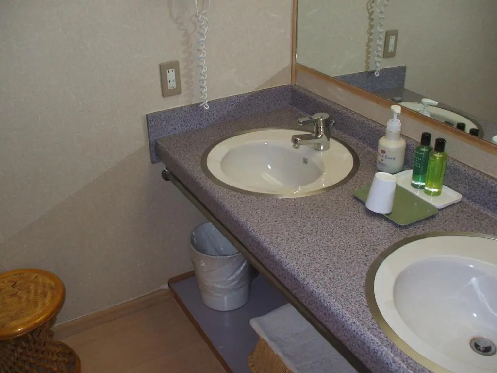 Annex Fujiya Ryokan