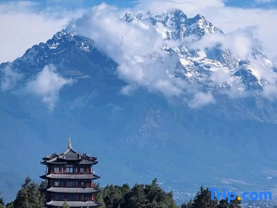 Bamboo Pavilion·Grace: A Panoramic Sky Garden Art Homestay with Ancient City and Snow Mountain Views