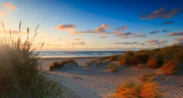 Pearl of the Hague - R.Q.C