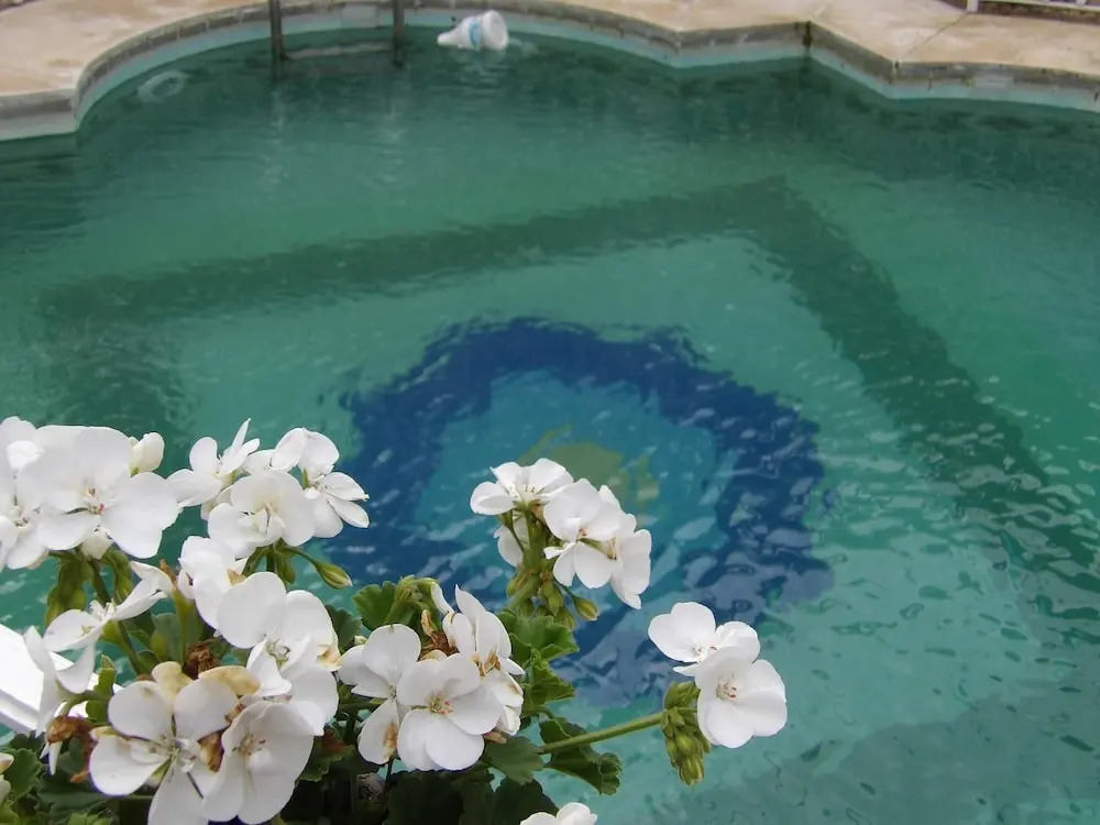Palacio Doñana , Rural & Luxury