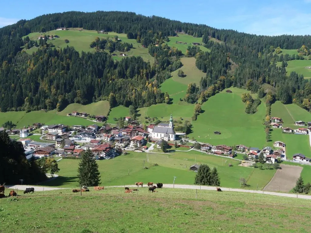 Loya Chalet WILD32