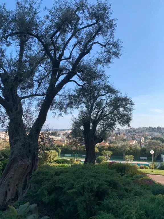 Studio with a panoramic view at the last floor of the residence with a pool