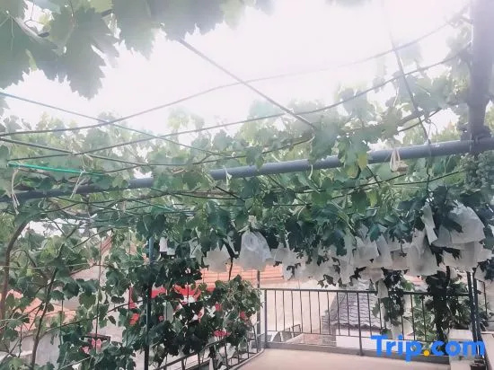 Yantai Chengda Fishermans Joy Restaurant
