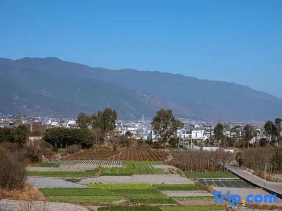 Xiyue Tea House · VILLA (Dali Ancient City, Chongsheng Temple Three Pagodas)