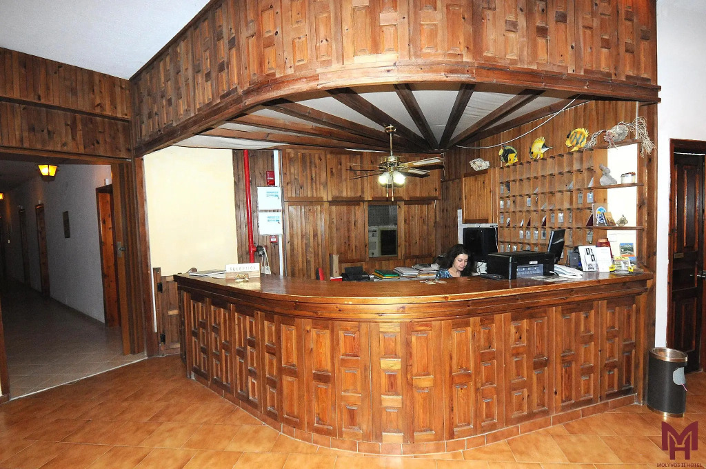 Hotel Molyvos II