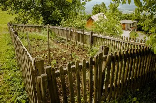 Vineyard Cottage Skatlar