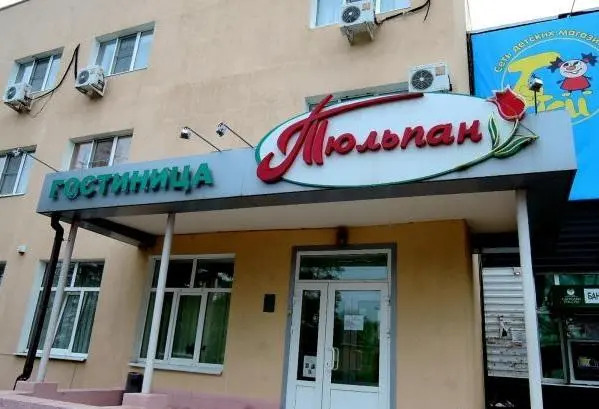 Тюльпан