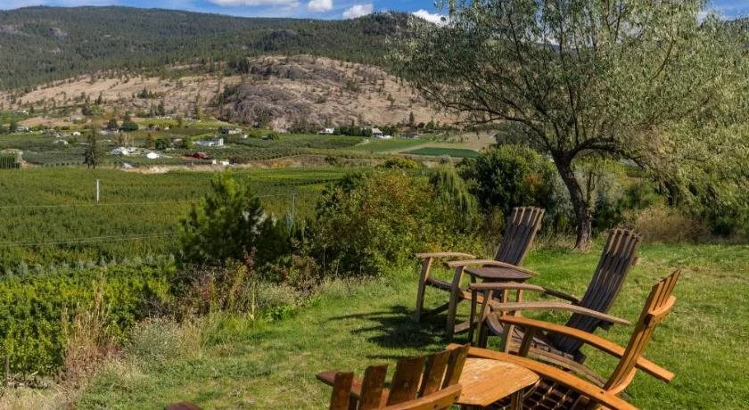 Serenata Guesthouse & Vineyard Retreat