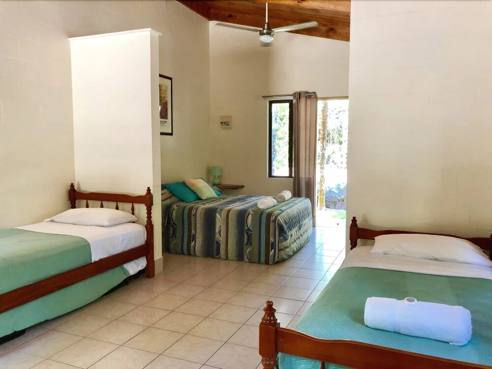 Daintree Siesta