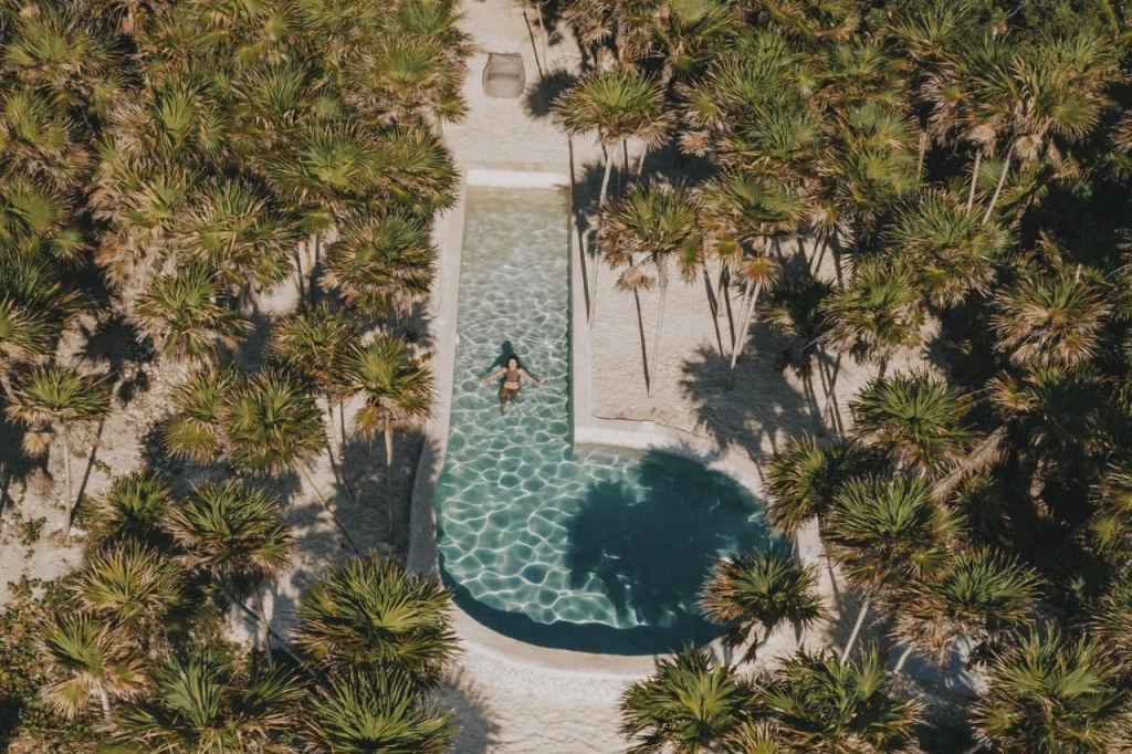 Papaya Playa Project
