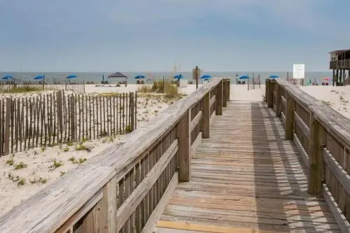 Boardwalk 286