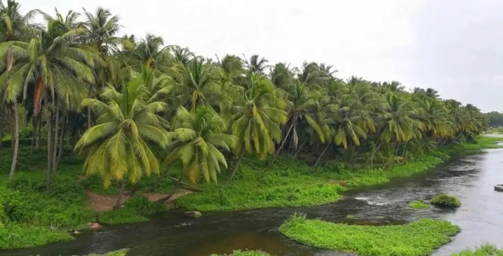 Room in Lodge - Royal Cottage, Anaimalai