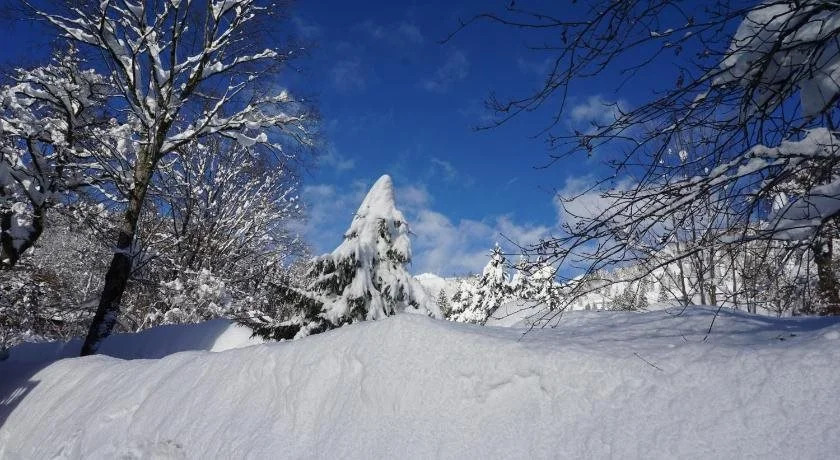 Haus Sonnenblick
