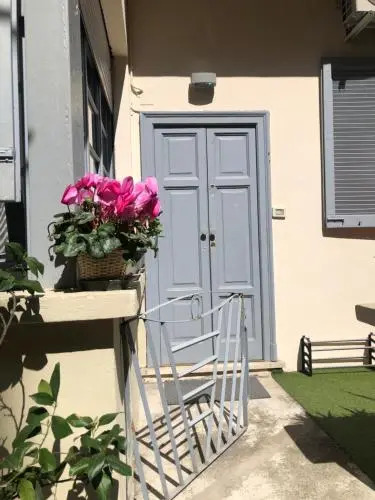FLAT66