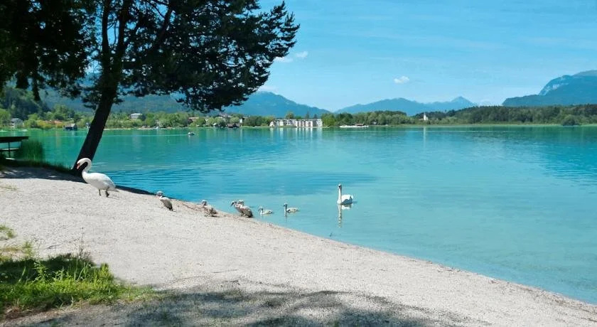 Pension Stissen Haus am See