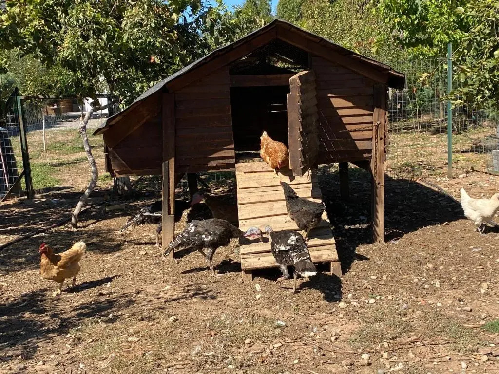 Lavender farm house