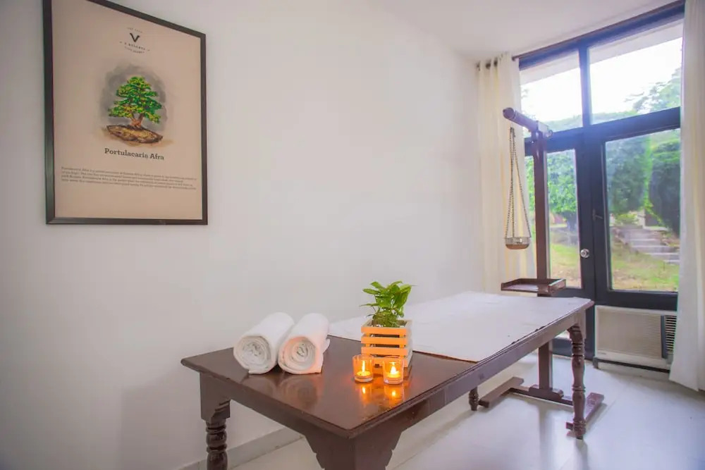 V Resorts Delhi Farm Stay