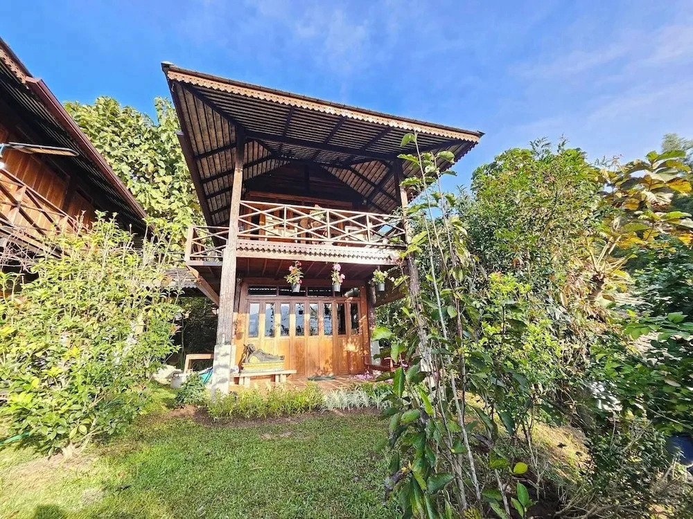 Camelliana Horizon Pongyang