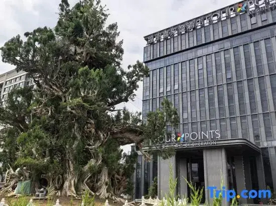 Four Points by Sheraton Zibo Zichuan