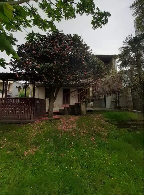 3-Bedroom Apartment in Kobuleti