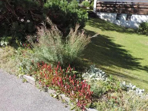 Lenzerheide Seestrasse Ladina 62