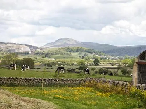 Pendle View