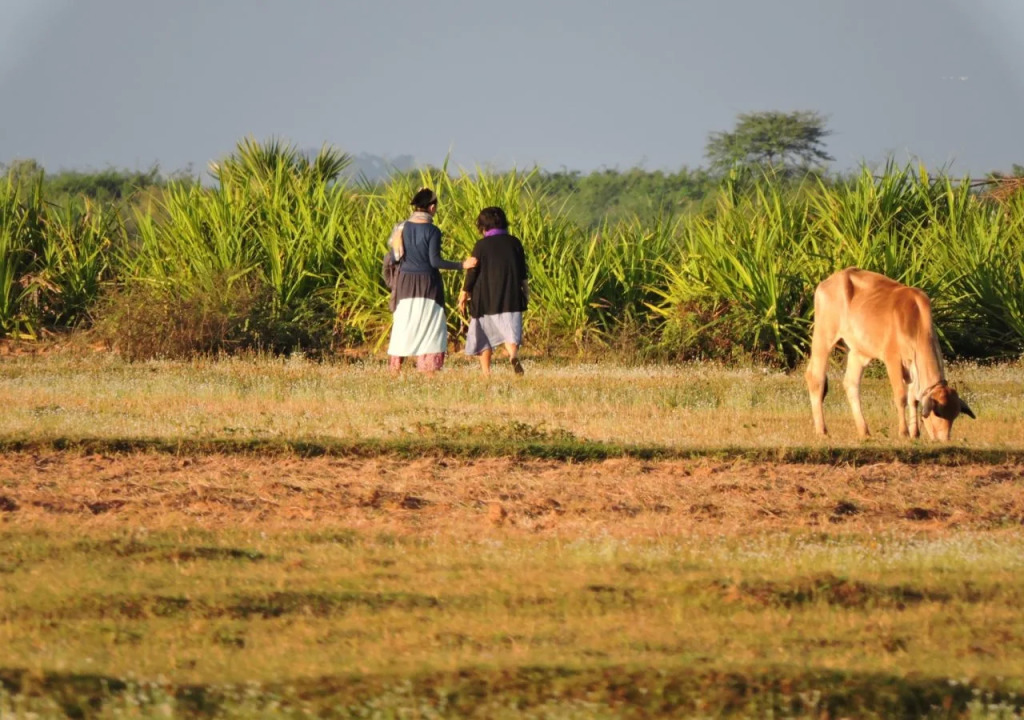 Real Homestay