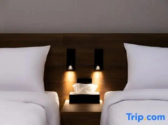 지요크을지로 Ziyolk hotel euljiro