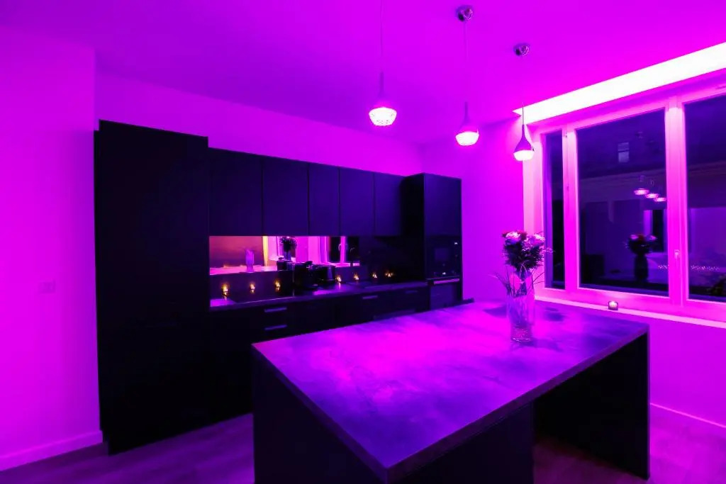 La Purple Suite