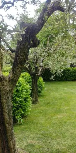 Agriturismo San GIovanni Ad Insulam