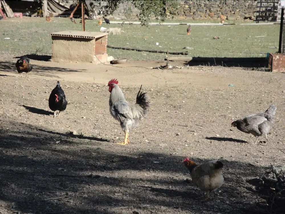 Casa Rural Sierra San Mamede