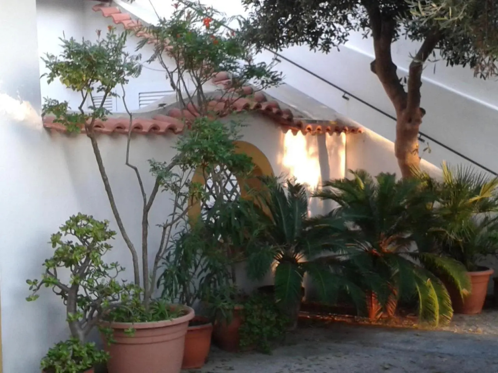 CASA Pitosforo CASA Ulivo