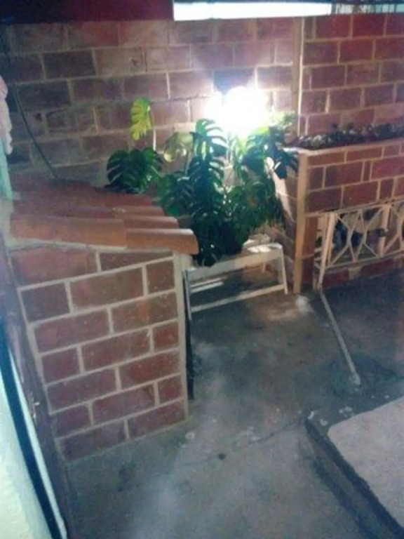 El Patio De Ana