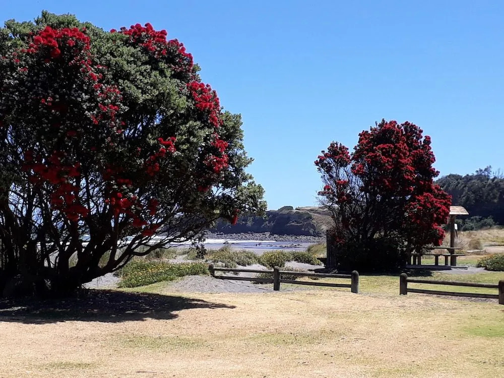Opunake Beach Holiday Park