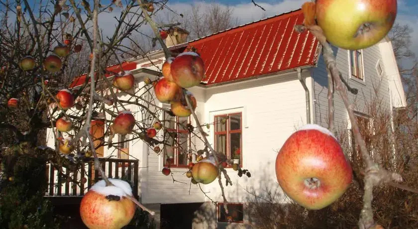 Mellangården i Äpplerum