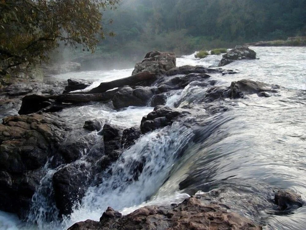 Cabanas La Otilia