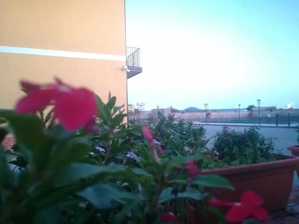 I Colori dellEtna