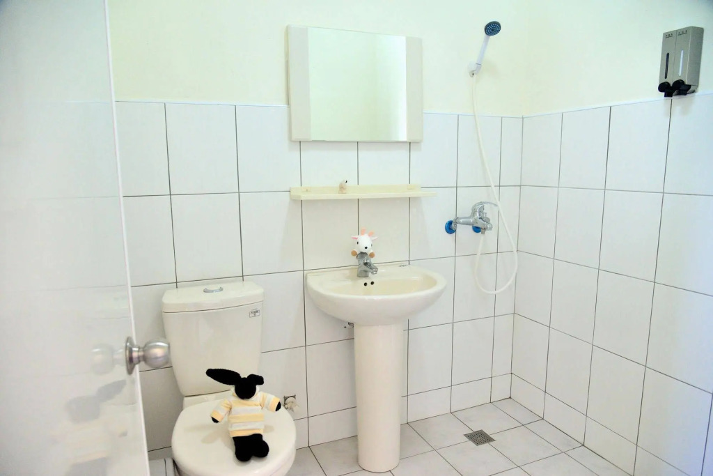 Bubbling Bunny Café - Hostel