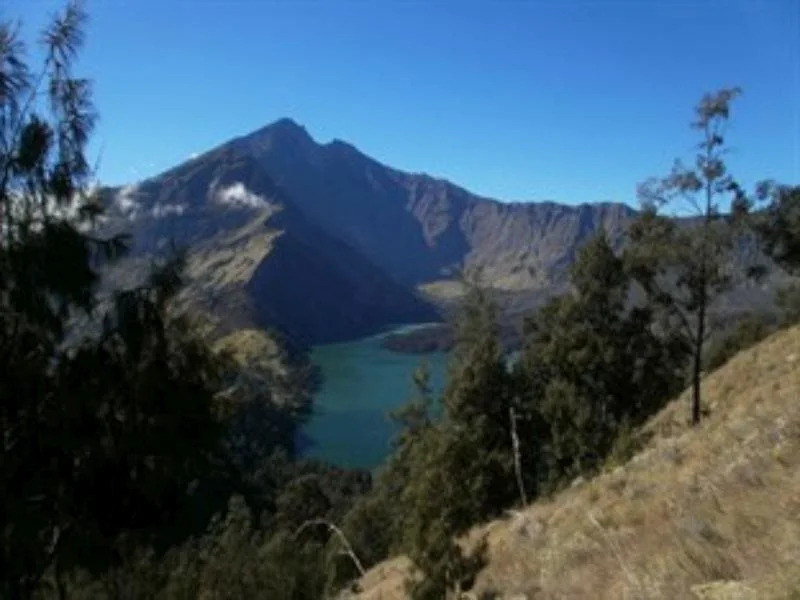 Rinjani Family Homestay