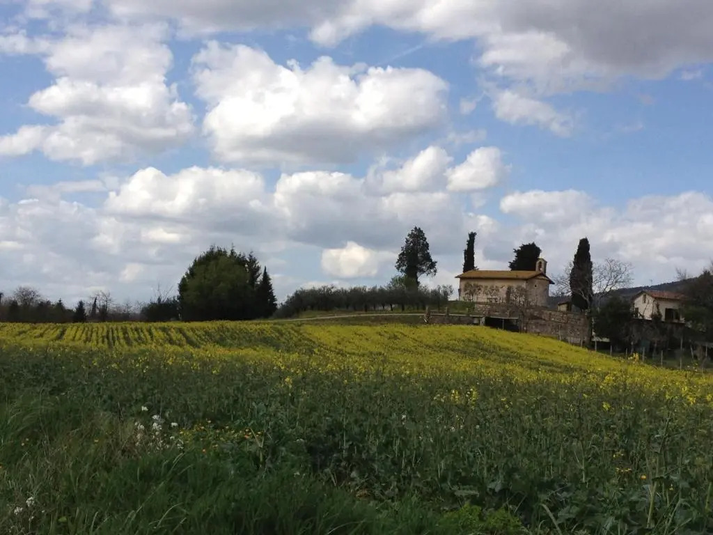 Gli Ulivi DArgento