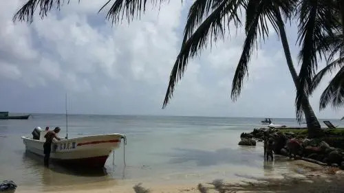 Island Roots Hostel
