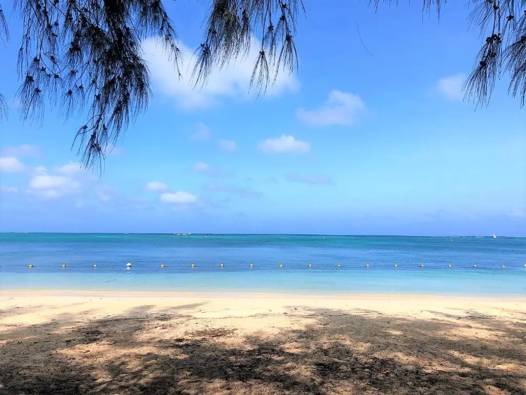 Residence Le Point Choisy