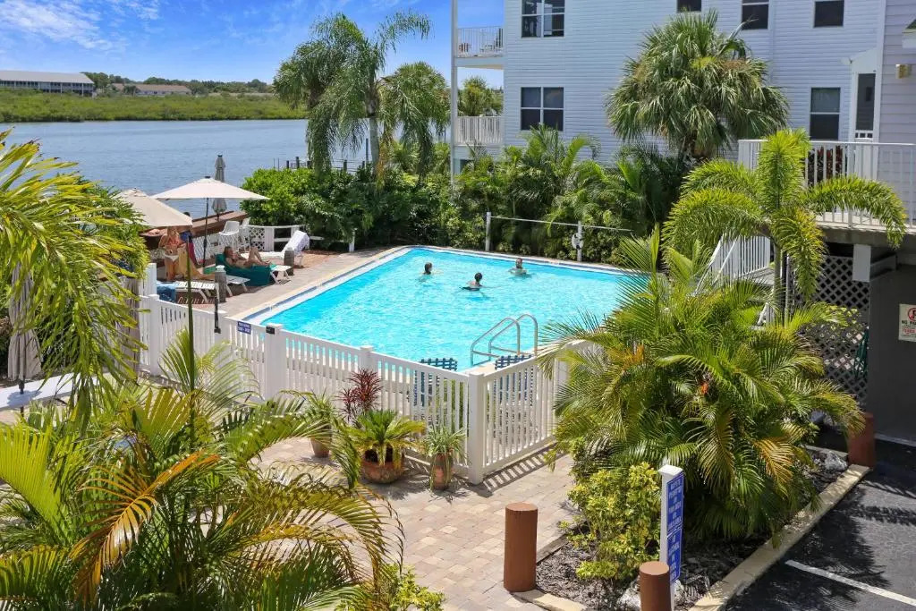 Sea Shell 24