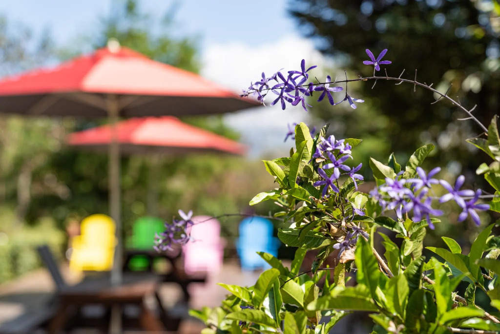 Julies Garden, Cingjing - Fon Chin Homestay