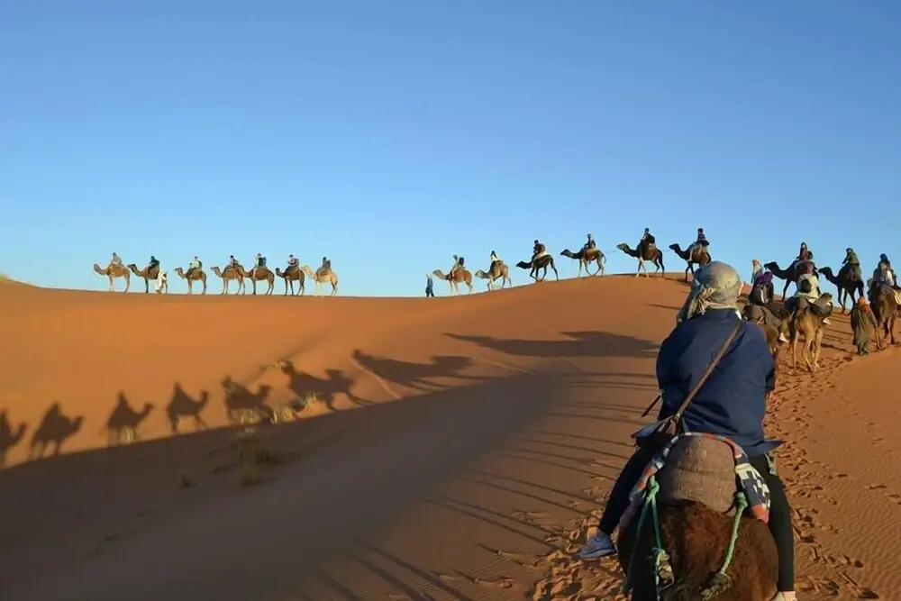 Auberge Sahara