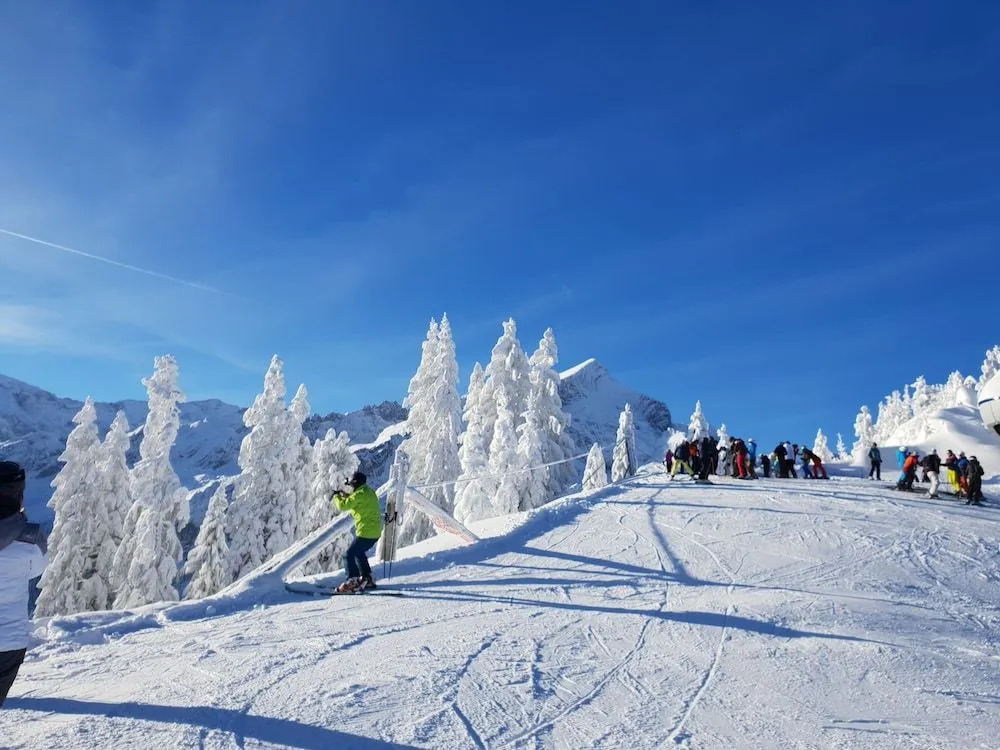 das Alpen Natur Idyll
