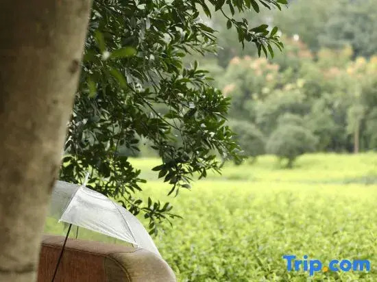 Hanshe Homestay · Banshan Fuyun Bamboo Forest Creek Villa (Anji Canglong Baipu Rafting)