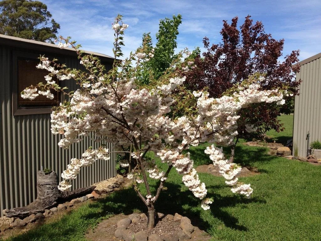 Duffy's Country Accommodation